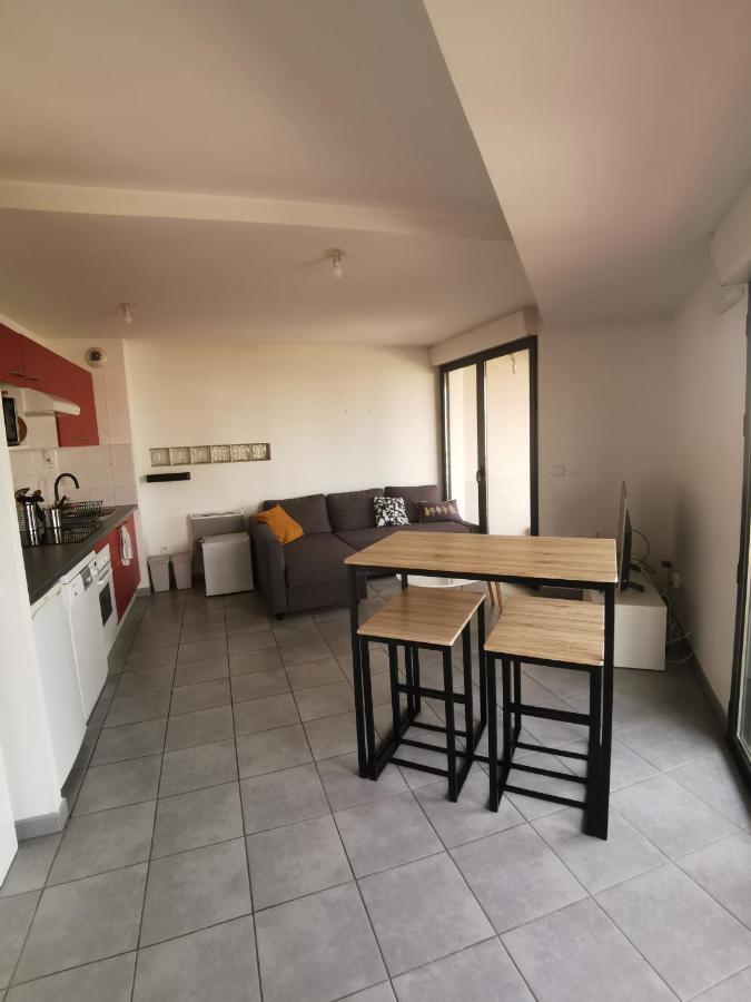 Apartamento T1Bis Moderne, Lumineux, Belle-Vue, Patte D'Oie, Parking Toulouse Exterior foto